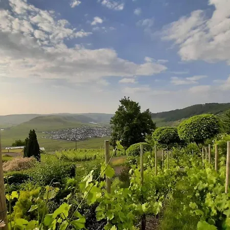 Casa La Vino Appartement