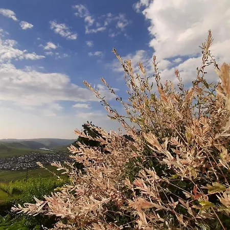 Casa La Vino 아파트