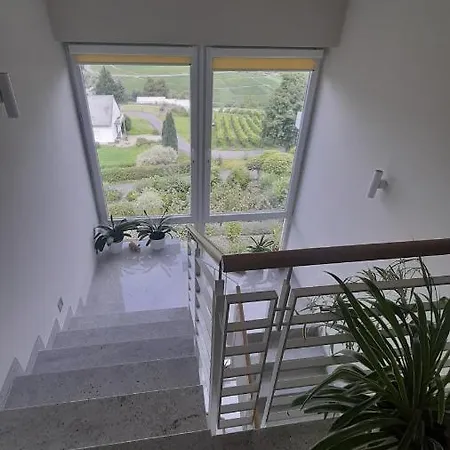 Casa La Vino Appartement Leiwen