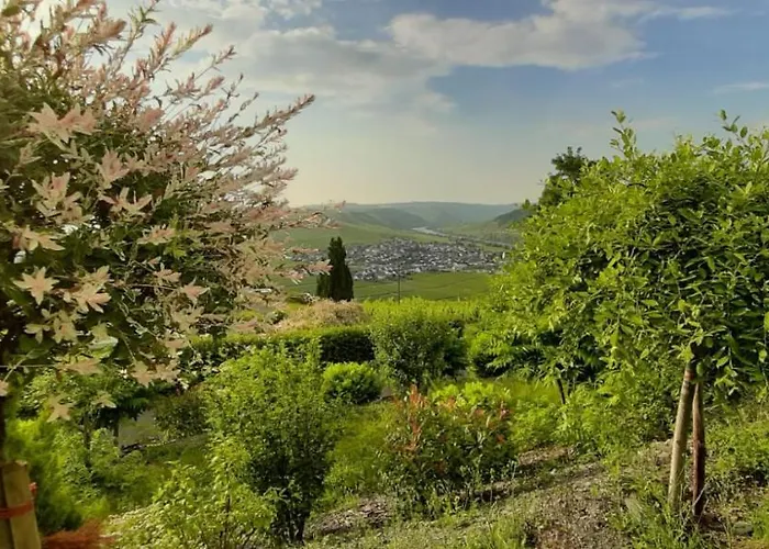 Casa La Vino * Leiwen
