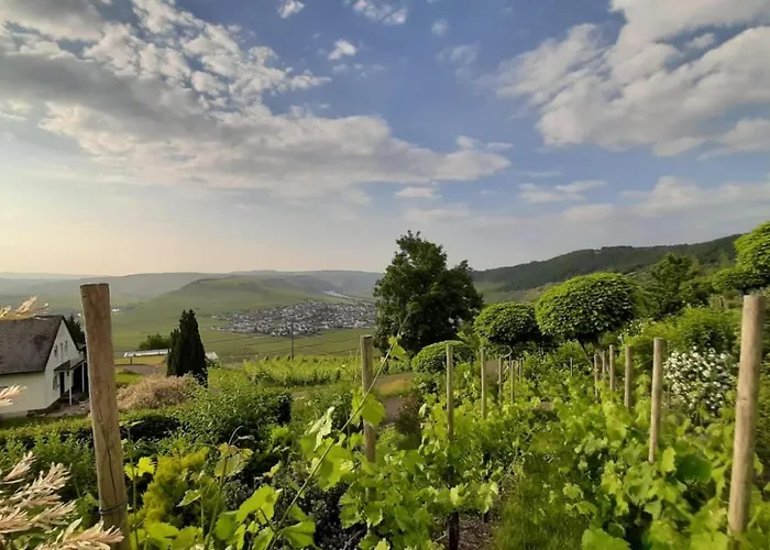 Casa La Vino Lejlighed