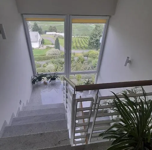 Casa La Vino 公寓 雷温